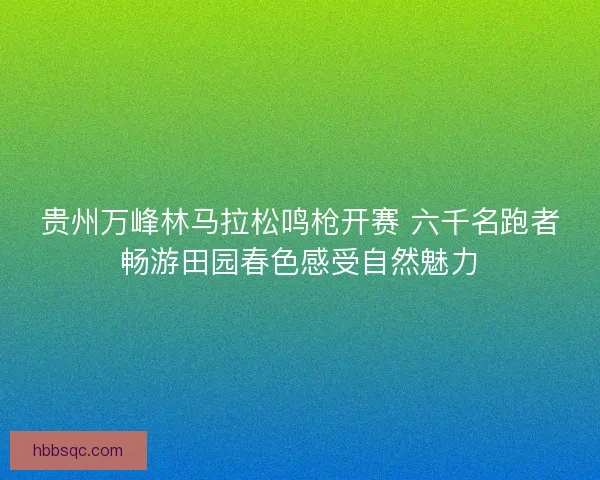 贵州万峰林马拉松鸣枪开赛 六千名跑者畅游田园春色感受自然魅力